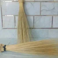 جاروی زابلی