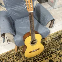 گیتار دلاهو کو ۲۰۱۲