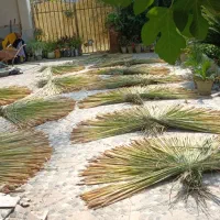 گالی یا لی.وحصیر بافته شده.
