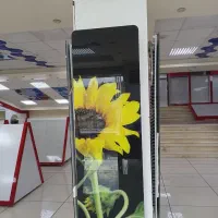 آرارات