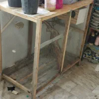 گنجه برای عروس هلندی و کفتر