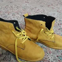 پوتینن تیم برلن