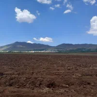 زمین کشاورزی