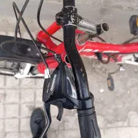دوچرخه درحد ویوا