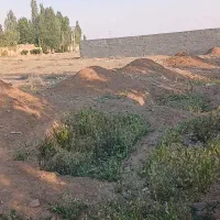 زمین ۵۰۰ متری سند تک برگ کردان بهارک