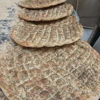 شاطر بربری
