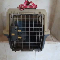 باکس پت نوی نو