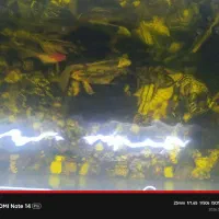 فروش آکواریوم با پمپ هوا و بخاری فیلتر