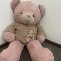 شاسخین