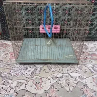 قفس پرنده