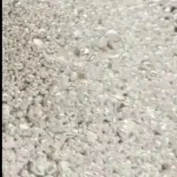 ساچمه نقره