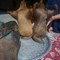 هیزه