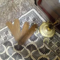 پانکه سقفی توی عکس پرخاکه چندسال توانباره