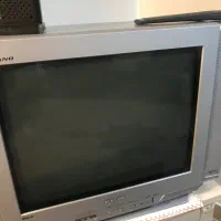 تلویزیون