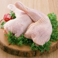 مرغ و بوقلمون رو گرون نخر (پرگاس)