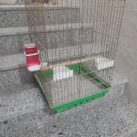قفس پرنده