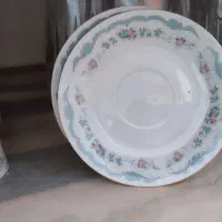ظروف|ظروف سرو و پذیرایی|سبزوار, شرق کال شمالی|دیوار