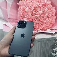 14پرومکس