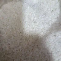 برنج ایرندگان