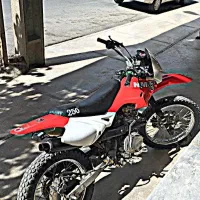 معاوضه با اسب