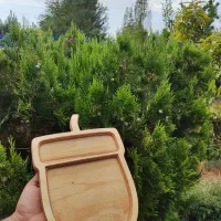سینی سرو بلوط