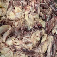 فروشنده ضایعات  ( مرغ )