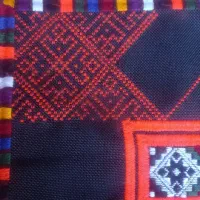 زیاستین