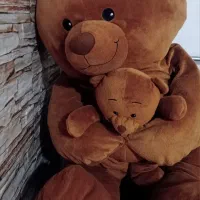 خرس دارچینی