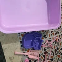 وسایل درحد نو برای گربه