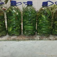 ترشی و خیارشور