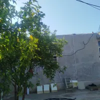 اجاره روزانه/هفتگی/ماهانه منزل ویلایی ۱۰۰ متری|اجارهٔ کوتاه‌مدت آپارتمان و سوئیت|مسجد سلیمان, |دیوار