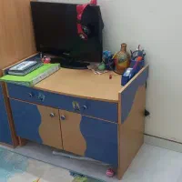 کارگر خانم