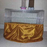 قفسه