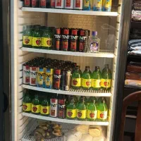 یخچال تک درب