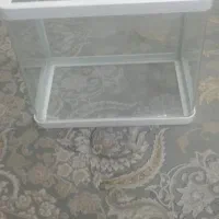 اکواریوم