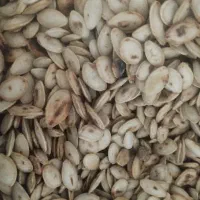 تخمه  وکدو درجه یک