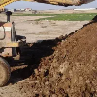 کودگاوی تازه وکهنه