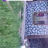 فروشی هزار متر باغ روستای زیبای رشوانلو