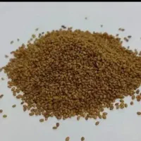 بدر یونجه امریکایی