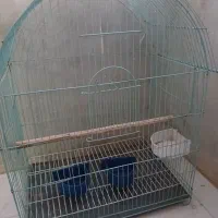 قفس پرنده