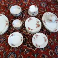 سرویس گل سرخی،هرعدد۱۶۰