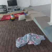 حدود ۲۸۰ متر موکت