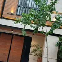 ۶۶ متر/ ۱ خواب /ساختمان مسکونی/ مطهری