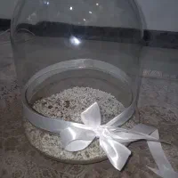 تراریوم