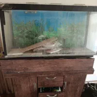 اکواریوم