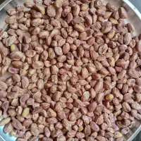 مغز پسته درجه یک