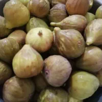 انجیر|خوردنی و آشامیدنی|گنبد کاووس, |دیوار