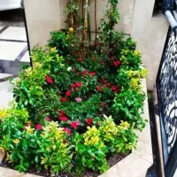 خدمات باغبانی باغچه کاری هرسکاری تعویض خاک گلدون