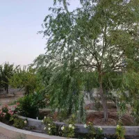 زمین710متری-مهندسی-ساز-در-منطقه-سبز-باغستان-فردوسی