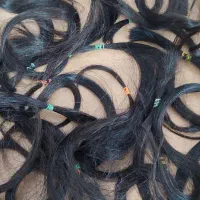 کالیته مو طبیعی کالیته رنگ